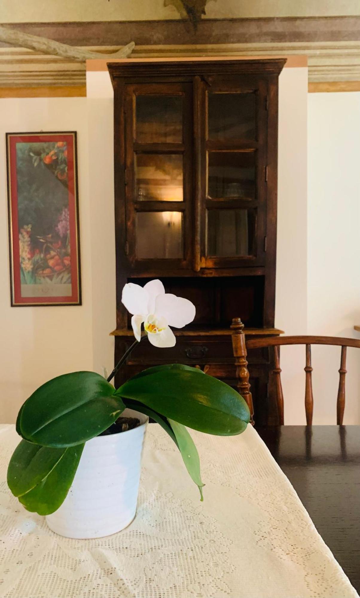 Apartment Cascina Ambrosia Residenza D'epoca
